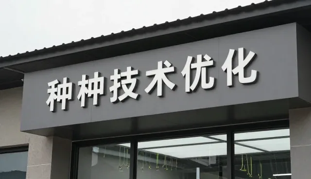 仓储保鲜场景中安全操作对加工效率的影响分析